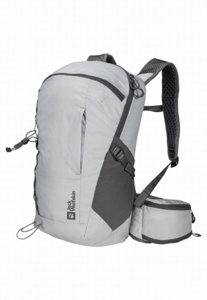 Grey Women Jack Wolfskin Cyrox Shape 20 Hiking Backpack | 46620563