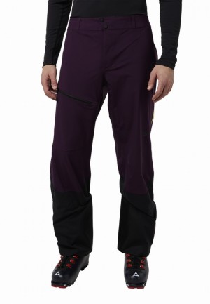 Purple Men Jack Wolfskin Alpspitze Tour 3l Pants | 92116069