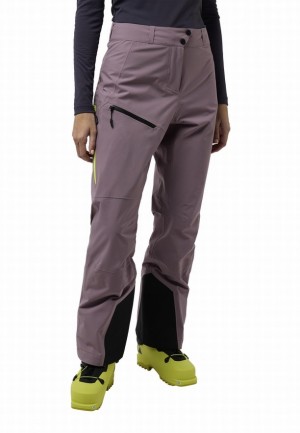 Purple Women Jack Wolfskin Alpspitze Tour 3l Pants | 80853903