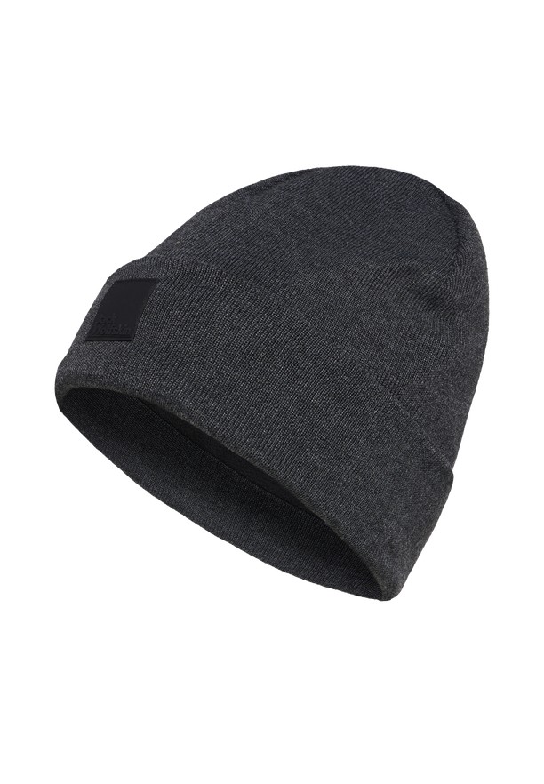 Black Men Jack Wolfskin Arcaden Beanie | 15545957