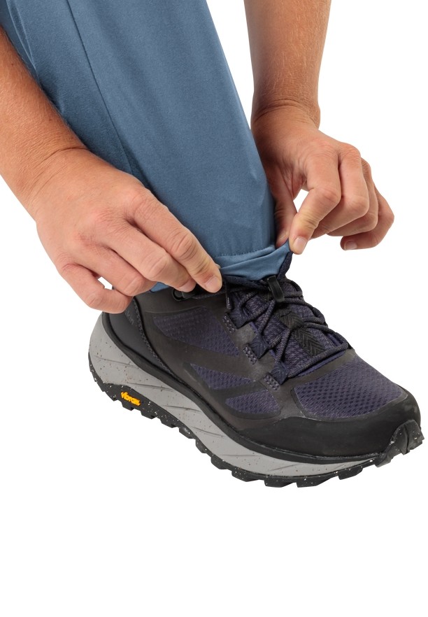 Blue Women Jack Wolfskin Alpine Hiking Pants | 81426144