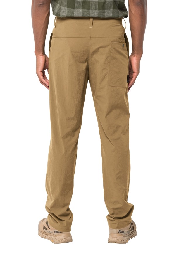 Brown Men Jack Wolfskin Desert Pants | 84313877