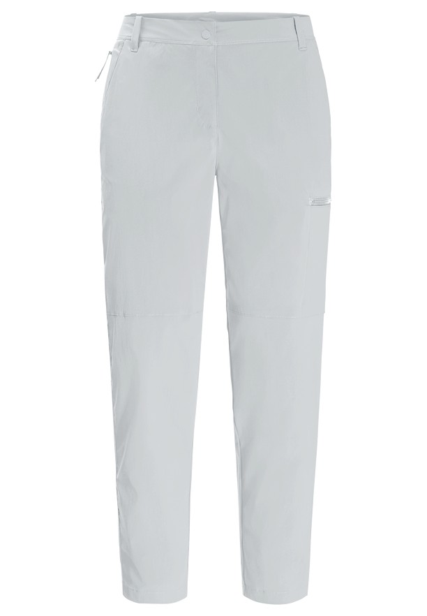 Grey Women Jack Wolfskin Wanderthirst Pants | 61309711