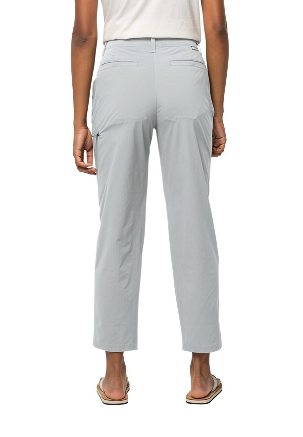 Grey Women Jack Wolfskin Wanderthirst Pants | 61309711
