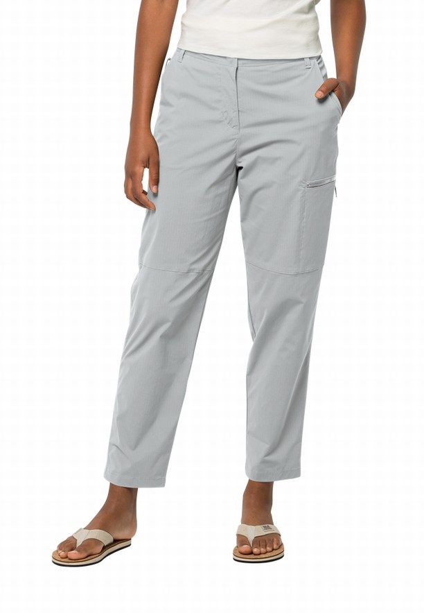 Grey Women Jack Wolfskin Wanderthirst Pants | 61309711