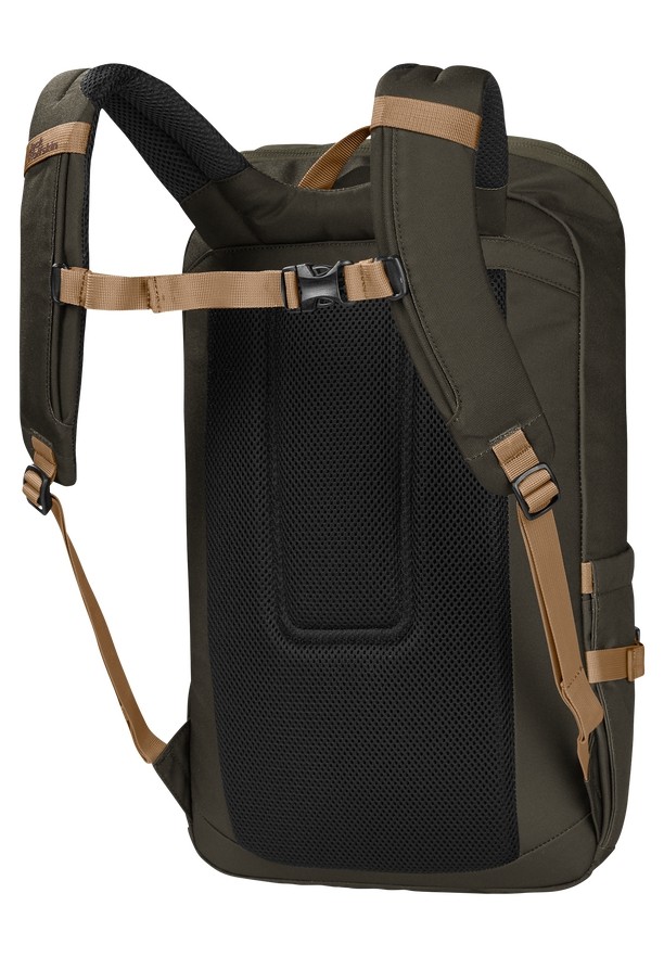 Olive Men Jack Wolfskin Dachsberg Daypack | 60488027